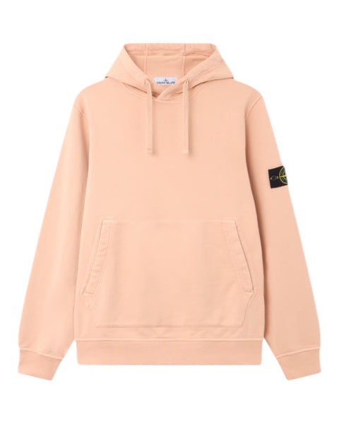 Pullover Badge Hoodie