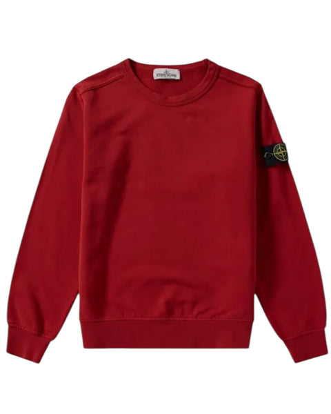 Pullover Crewneck Badge Jumper